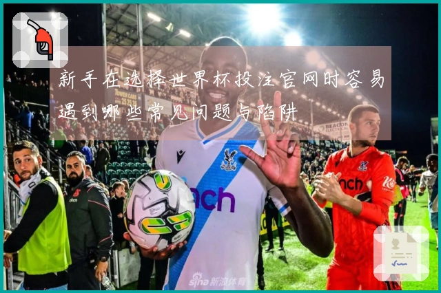 新手在选择世界杯投注官网时容易遇到哪些常见问题与陷阱