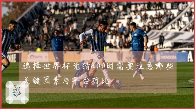 选择世界杯竞猜app时需要注意哪些关键因素与平台对比