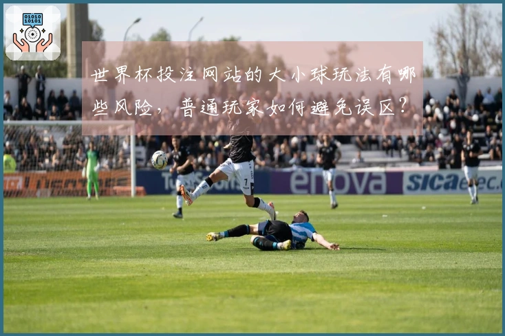 世界杯投注网站的大小球玩法有哪些风险，普通玩家如何避免误区？