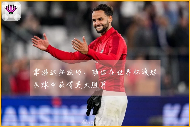 掌握这些技巧，助你在世界杯滚球买球中获得更大胜算