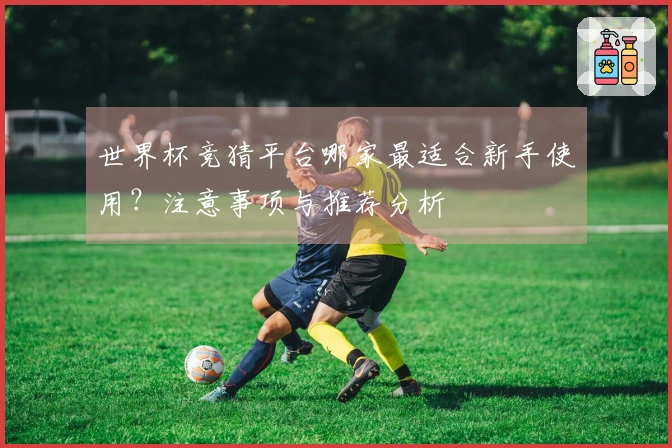 世界杯竞猜平台哪家最适合新手使用？注意事项与推荐分析