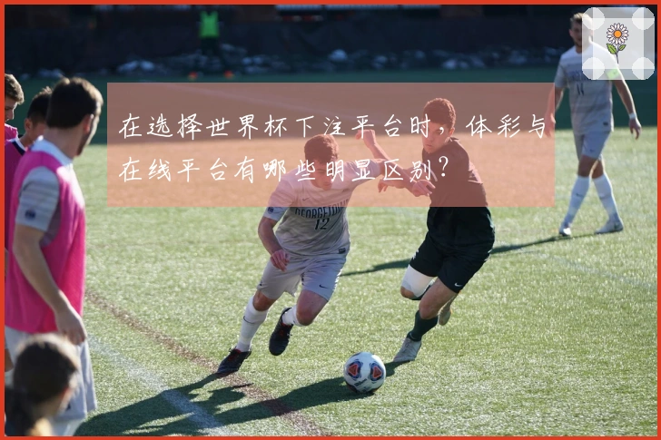在选择世界杯下注平台时，体彩与在线平台有哪些明显区别？