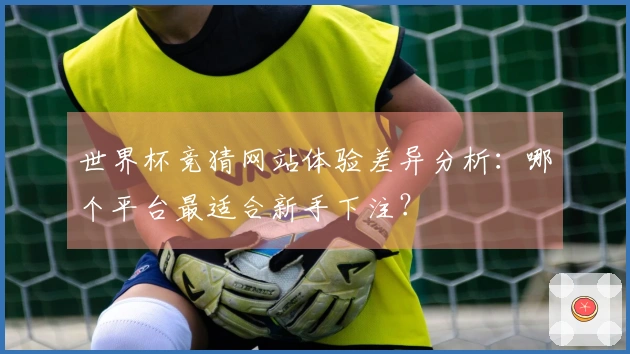 世界杯竞猜网站体验差异分析：哪个平台最适合新手下注？