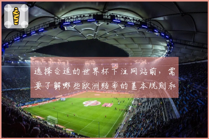 选择合适的世界杯下注网站前，需要了解哪些欧洲赔率的基本规则和风险？