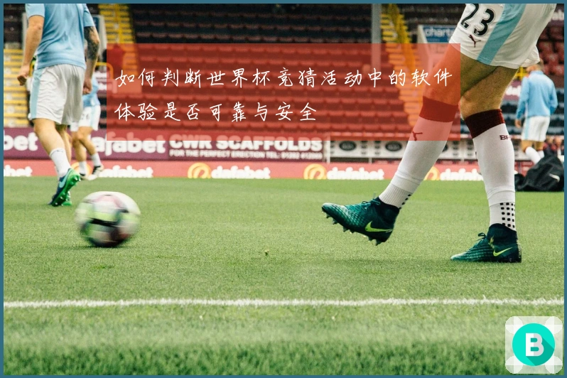 如何判断世界杯竞猜活动中的软件体验是否可靠与安全
