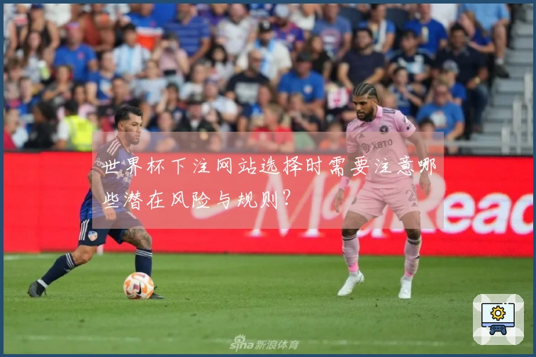 世界杯下注网站选择时需要注意哪些潜在风险与规则？
