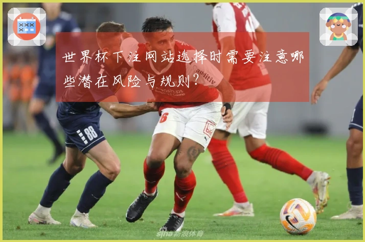 世界杯下注网站选择时需要注意哪些潜在风险与规则？