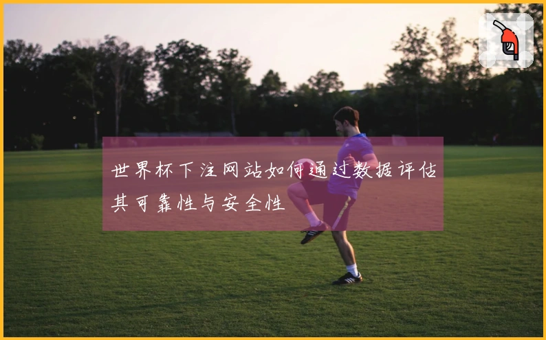 世界杯下注网站如何通过数据评估其可靠性与安全性