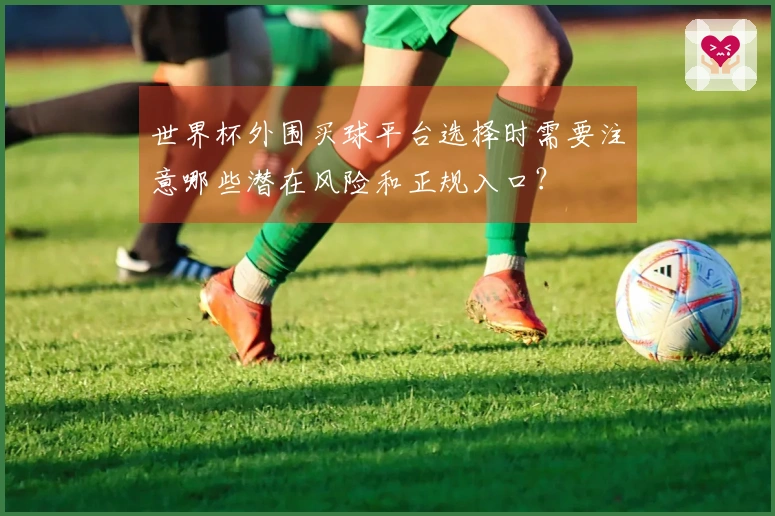 世界杯外围买球平台选择时需要注意哪些潜在风险和正规入口？