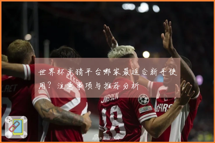 世界杯竞猜平台哪家最适合新手使用？注意事项与推荐分析