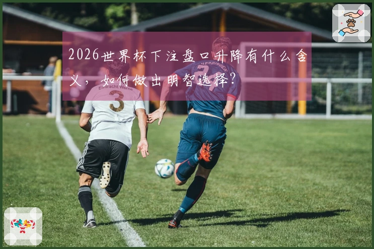 2026世界杯下注盘口升降有什么含义，如何做出明智选择？