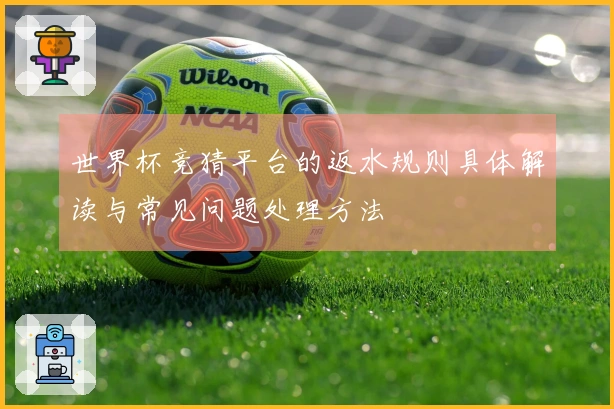世界杯竞猜平台的返水规则具体解读与常见问题处理方法