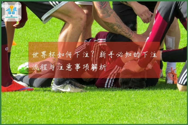 世界杯如何下注？新手必知的下注流程与注意事项解析
