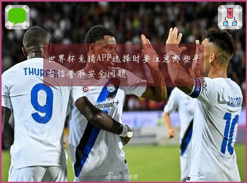世界杯竞猜APP选择时要注意哪些平台信誉和安全问题