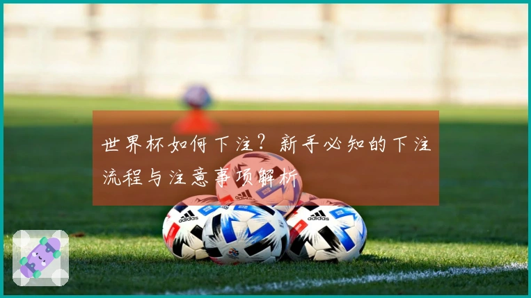 世界杯如何下注？新手必知的下注流程与注意事项解析