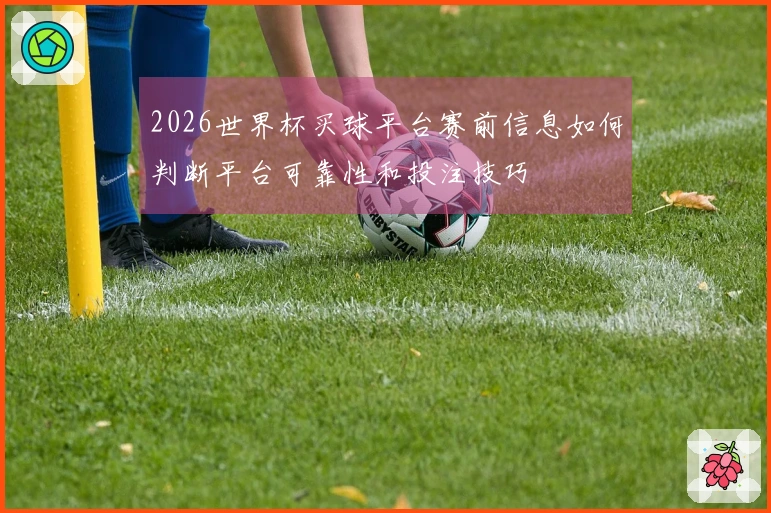 2026世界杯买球平台赛前信息如何判断平台可靠性和投注技巧