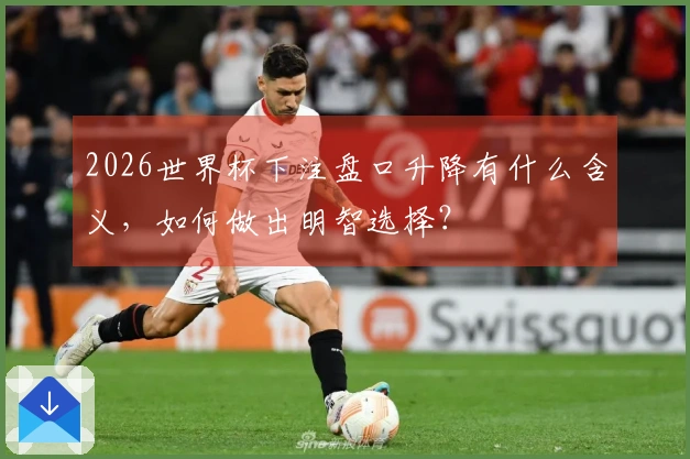 2026世界杯下注盘口升降有什么含义，如何做出明智选择？