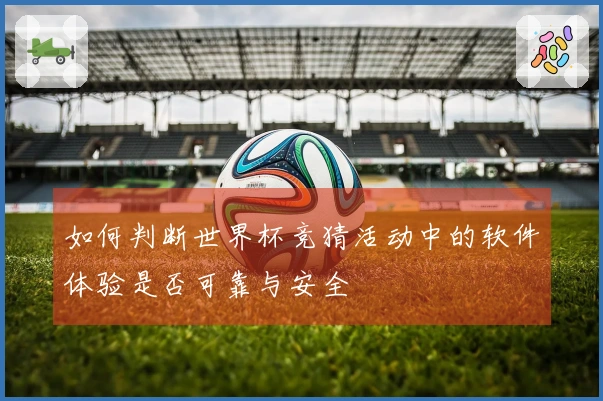 如何判断世界杯竞猜活动中的软件体验是否可靠与安全