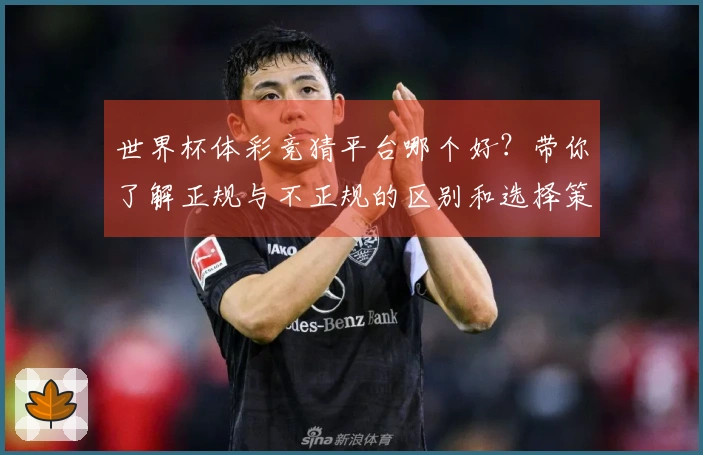世界杯体彩竞猜平台哪个好？带你了解正规与不正规的区别和选择策略