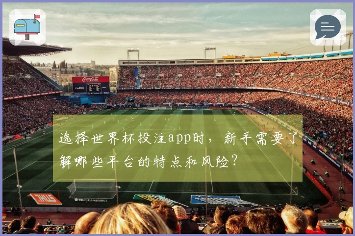 选择世界杯投注app时，新手需要了解哪些平台的特点和风险？