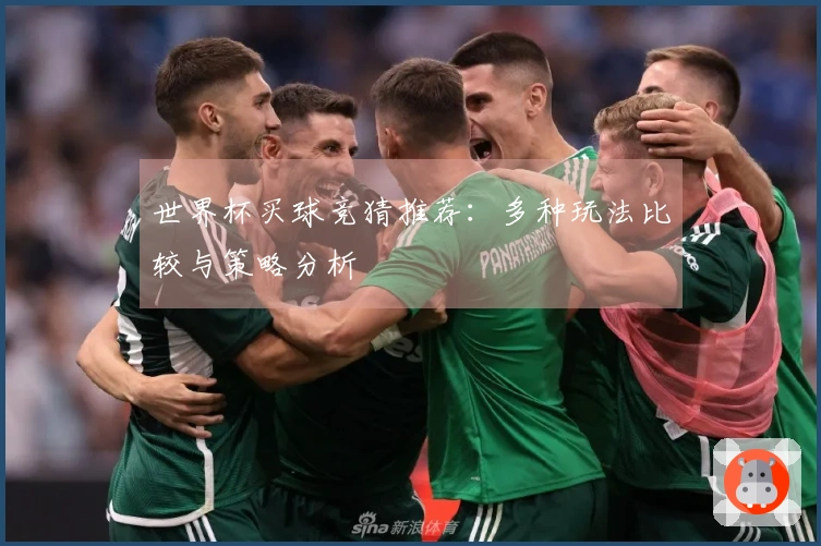 世界杯买球竞猜推荐：多种玩法比较与策略分析