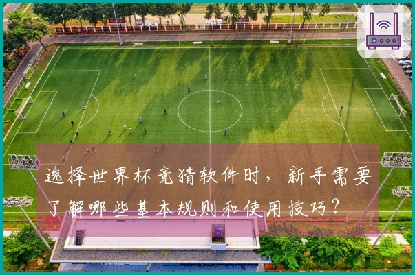 选择世界杯竞猜软件时，新手需要了解哪些基本规则和使用技巧？