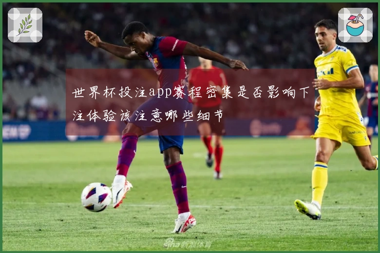 世界杯投注app赛程密集是否影响下注体验该注意哪些细节