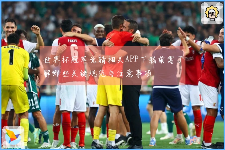 世界杯冠军竞猜相关APP下载前需了解哪些关键规范与注意事项